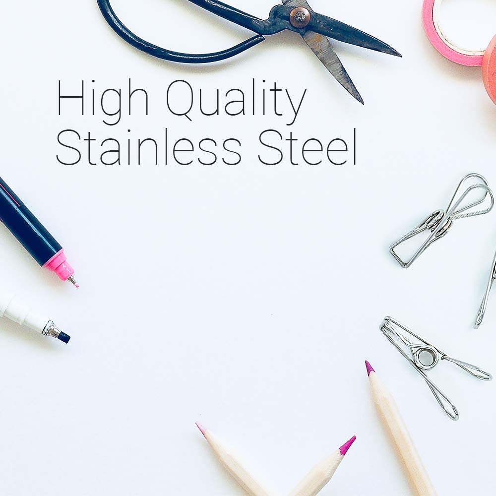 Silver Stainless Steel Clip (2 in.)