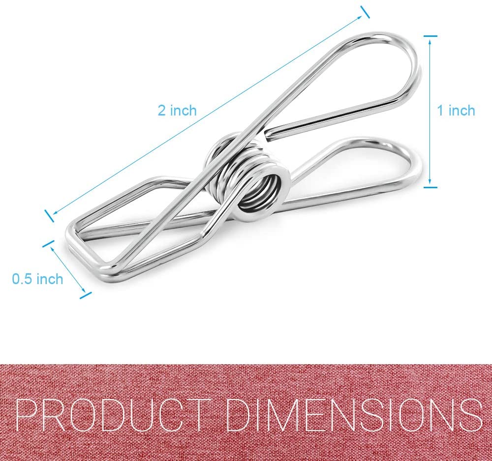Silver Stainless Steel Clip (2 in.)